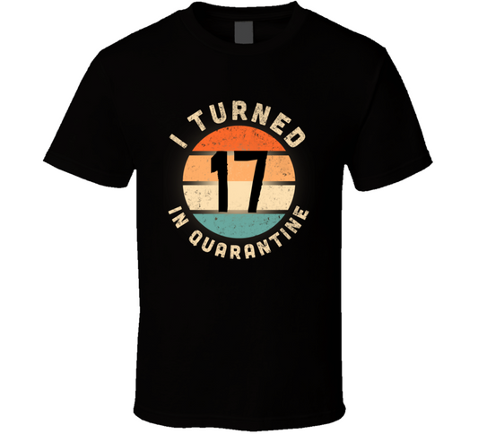I Turned 17 In Quarantine Poster Madness Birthday Funny T Shirt