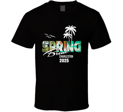 Charleston South Carolina 2025 For Spring Break Vacation Mode T Shirt