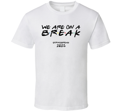We Are On A Break Spring Break 2025 Cool Gift T Shirt