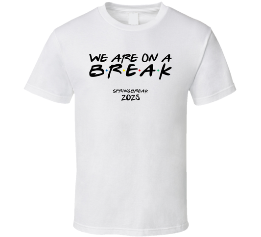 We Are On A Break Spring Break 2025 Cool Gift T Shirt